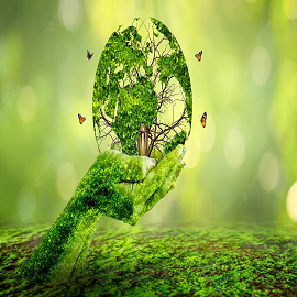 International E- Conference on Environmental Sciences - Sustainable, Renewable & Green Energy